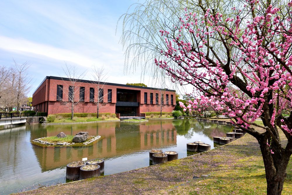 久留米市美術館の画像 - 2枚目