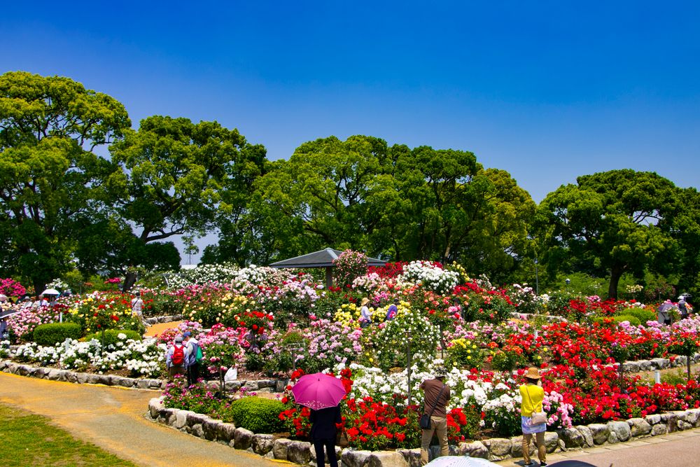 駕与丁公園（かよいちょうこうえん）の画像 - 4枚目