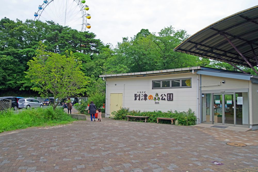 到津の森公園】の周辺スポット・アクセス・口コミ - Prism Japan