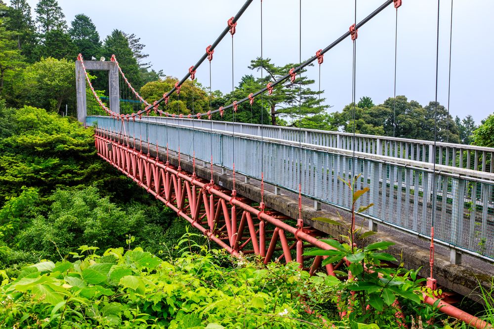 油山の画像 - 3枚目