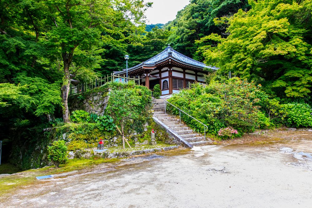 油山の画像 - 4枚目