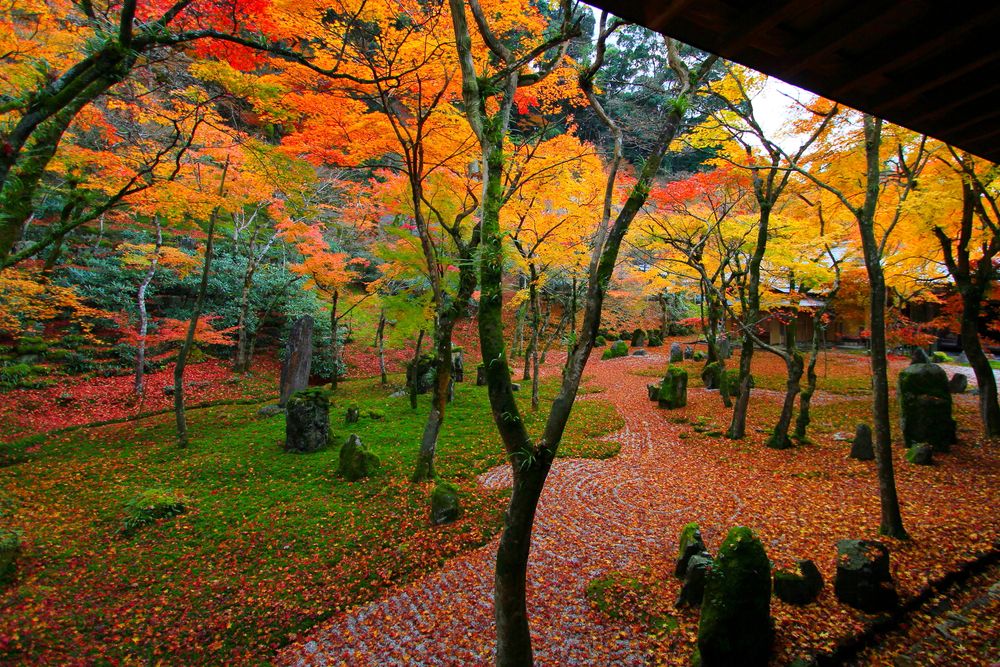 光明禅寺［臨済宗東福寺派］の画像 - 2枚目