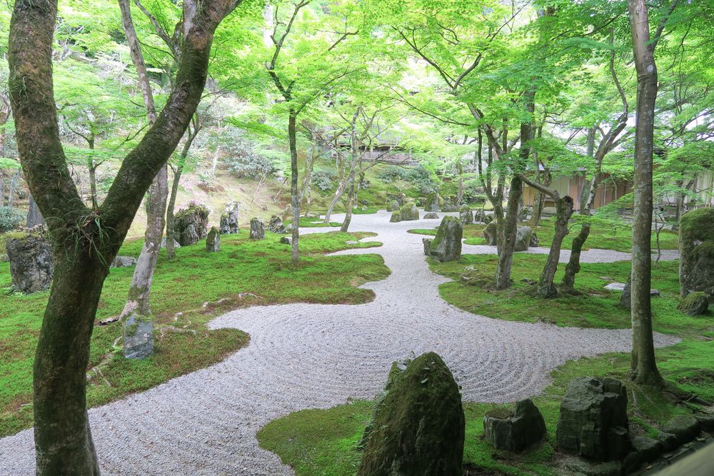 光明禅寺［臨済宗東福寺派］の画像 - 5枚目