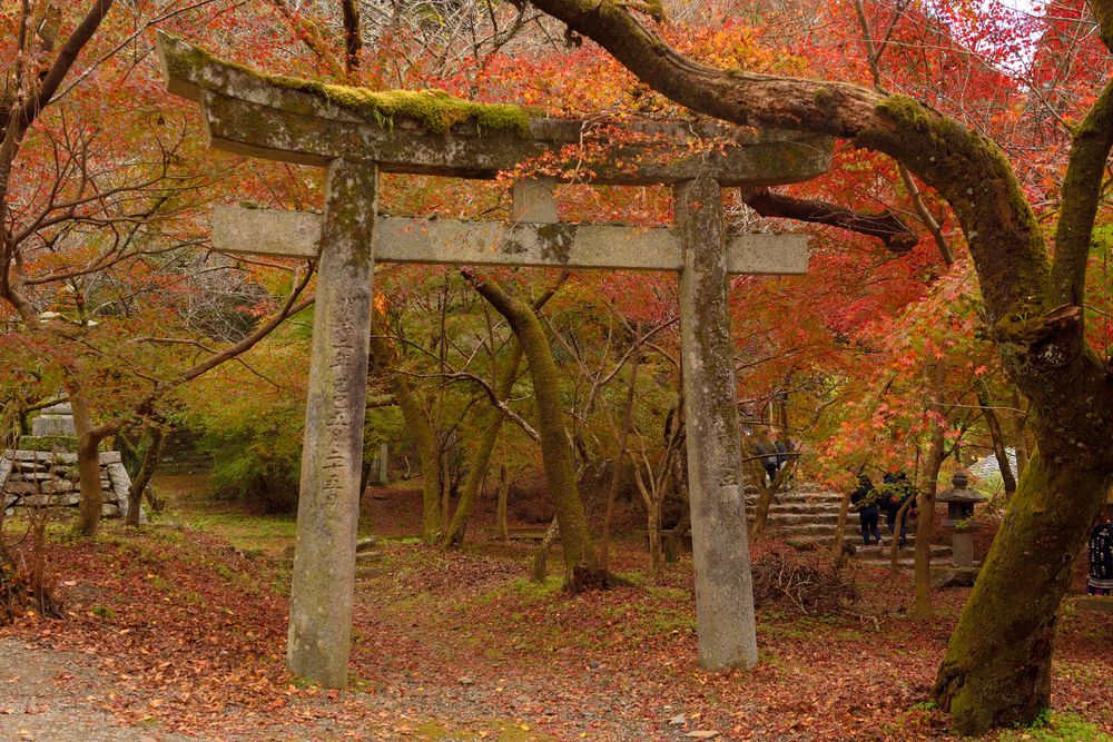 秋月城跡の画像 - 2枚目