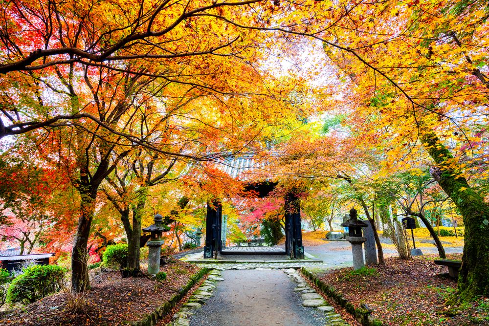 秋月城跡の画像 - 3枚目