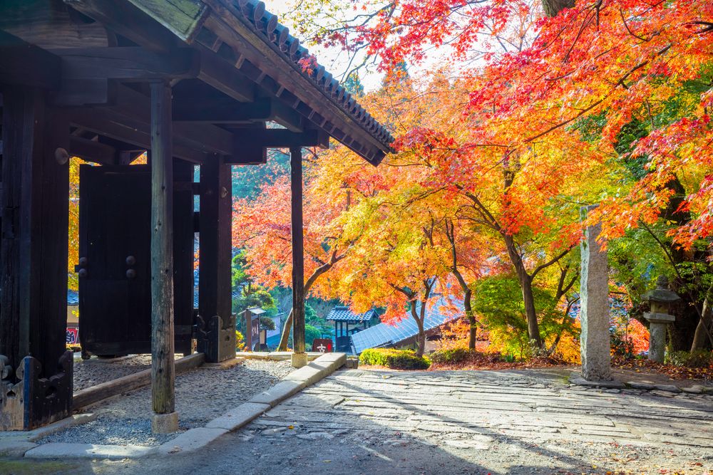 秋月城跡の画像 - 5枚目