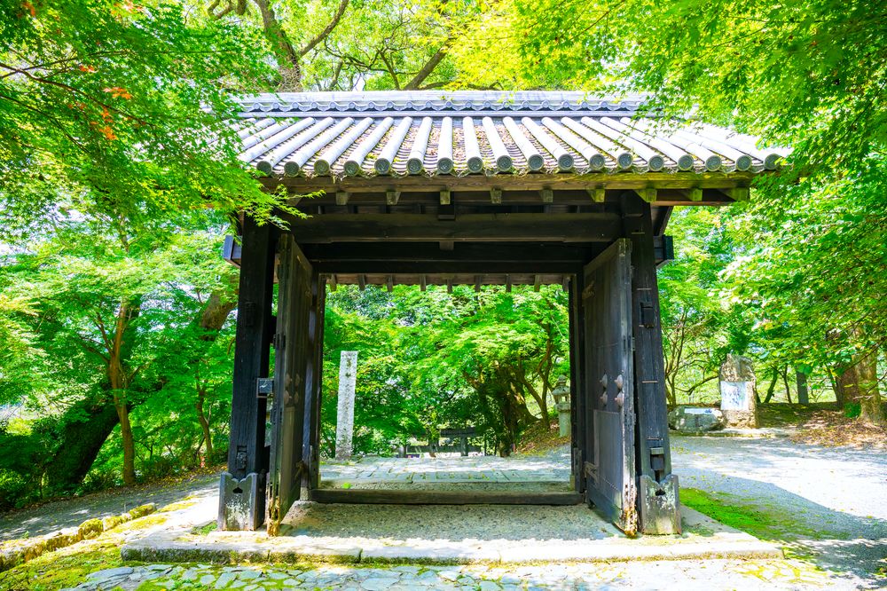 秋月城跡の画像 - 6枚目