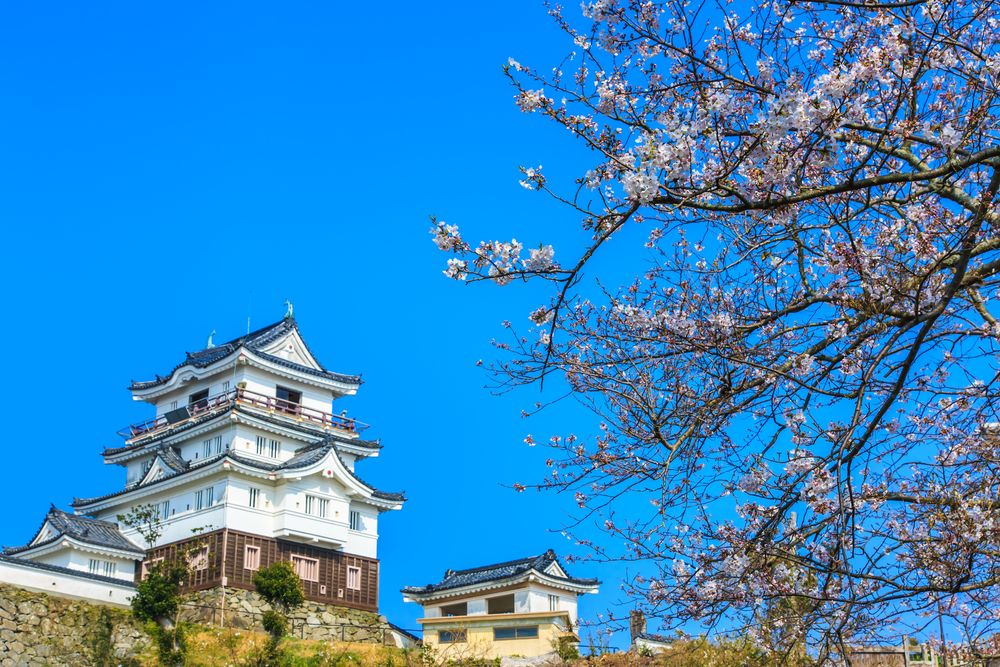 平戸城の画像 - 3枚目