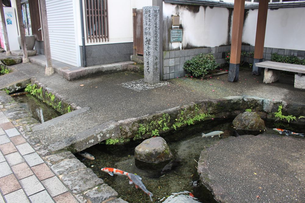 鯉の泳ぐまちの画像 - 3枚目