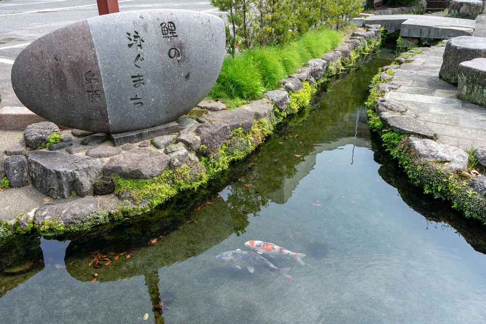 鯉の泳ぐまち】の周辺スポット・アクセス・口コミ - Prism Japan