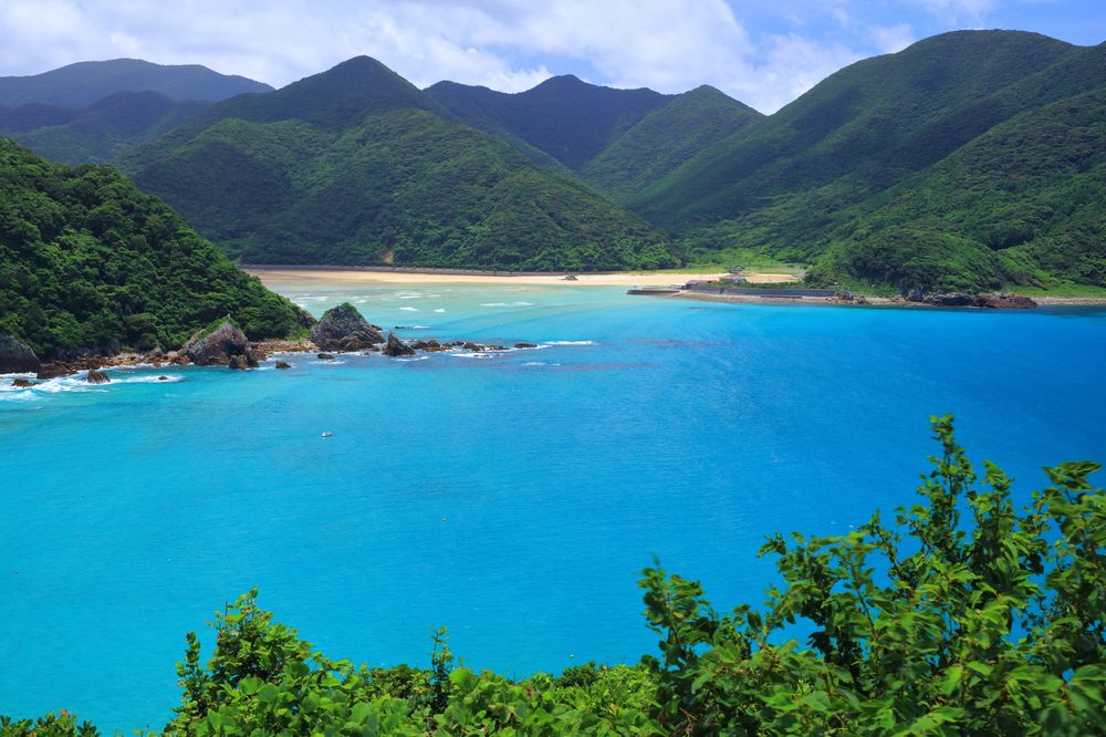 砂浜の櫂 セオサイクル