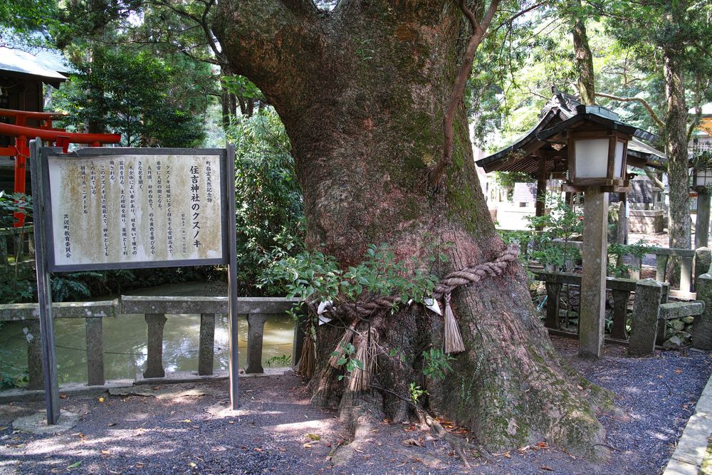 住吉神社の画像 - 3枚目