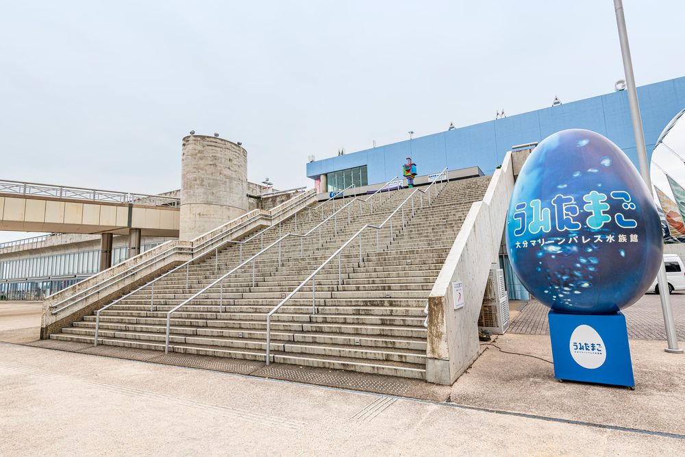 大分マリーンパレス水族館「うみたまご」の画像 - 2枚目