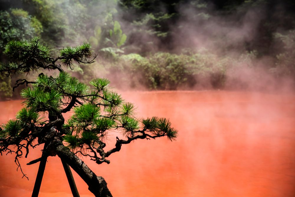 鉄輪温泉の画像 - 4枚目