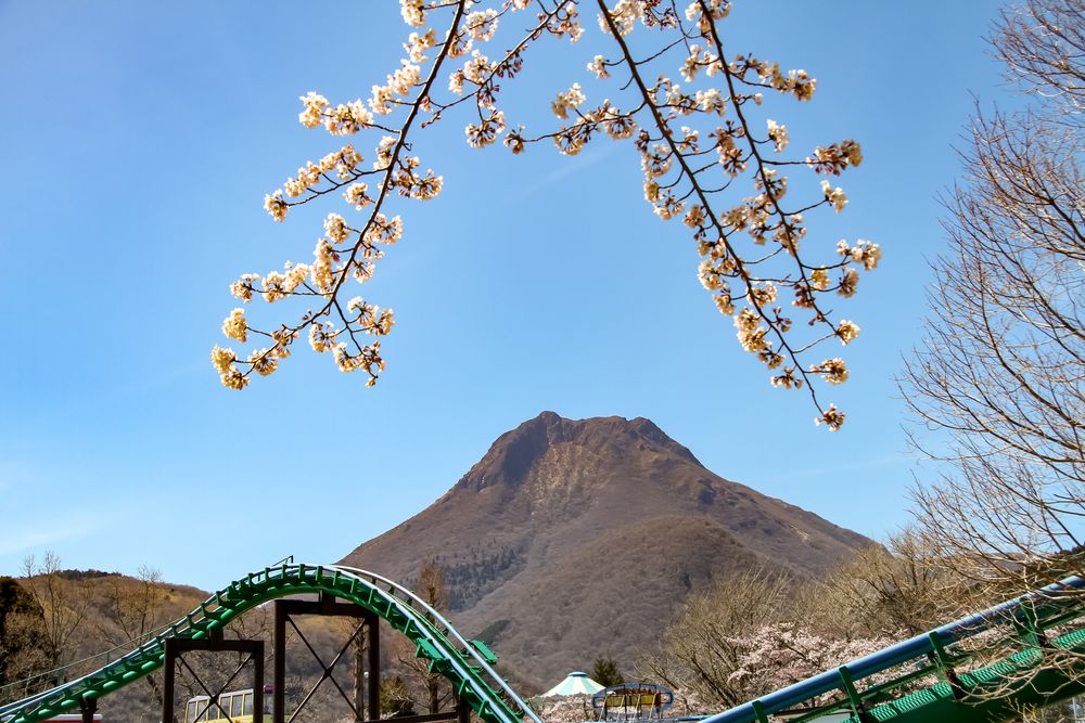 城島高原パークの画像 - 3枚目