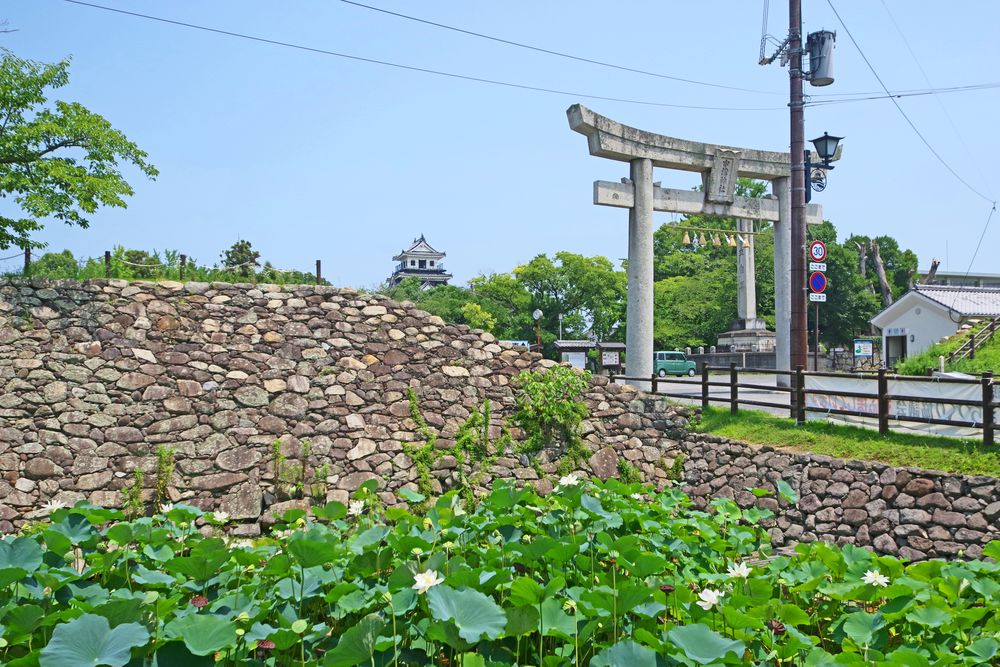 中津城（奥平家歴史資料館）の画像 - 3枚目