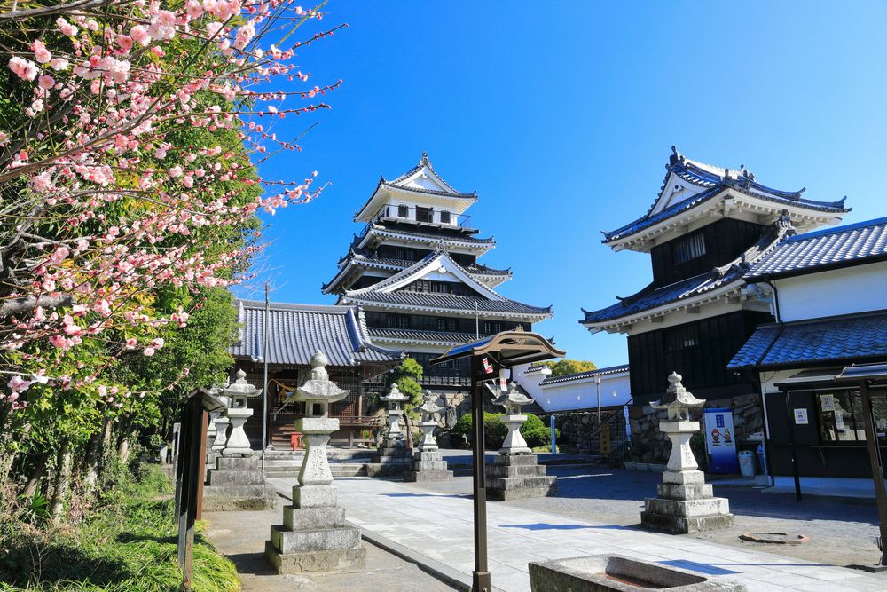 中津城（奥平家歴史資料館）の画像 - 5枚目