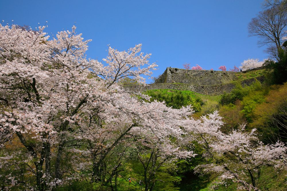 岡城跡（岡城公園）の画像 - 3枚目