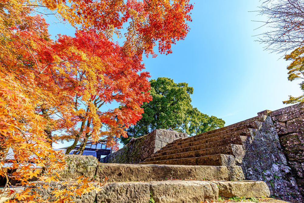 岡城跡（岡城公園）の画像 - 4枚目