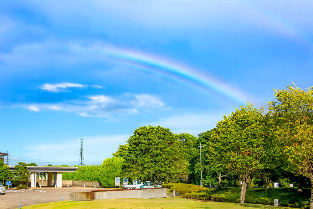 大分市美術館の画像 - 5枚目