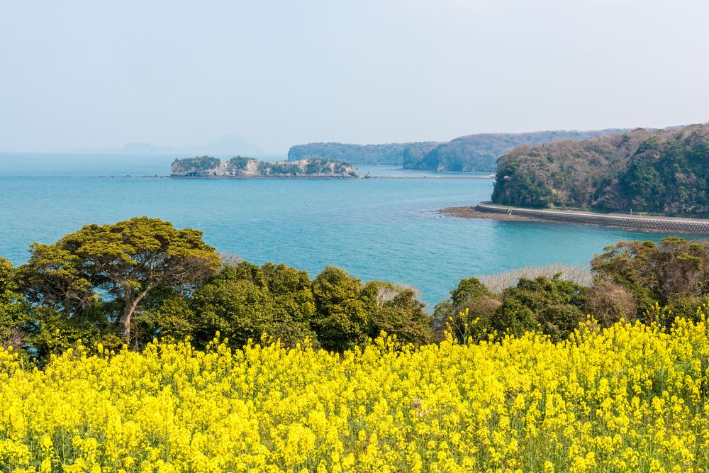 長崎鼻の画像 - 5枚目