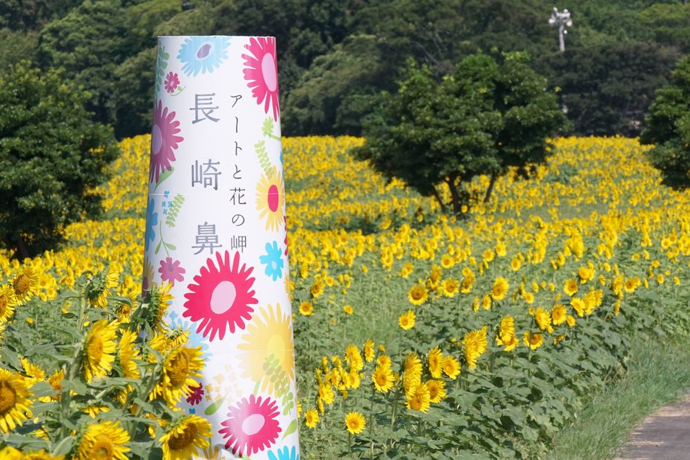 長崎鼻の画像 - 7枚目