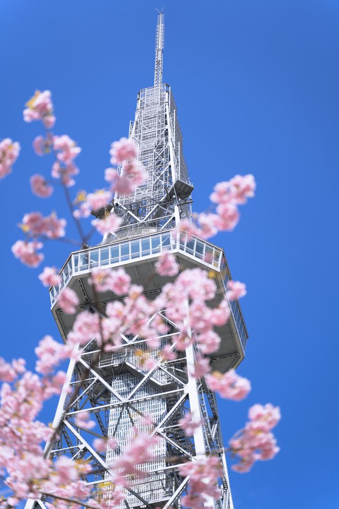 中部電力 MIRAI TOWERの画像 - 3枚目