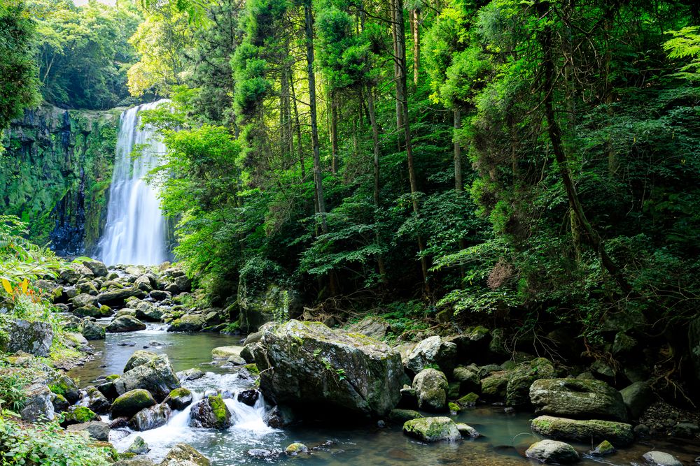 桜滝】の周辺スポット・アクセス・口コミ - Prism Japan