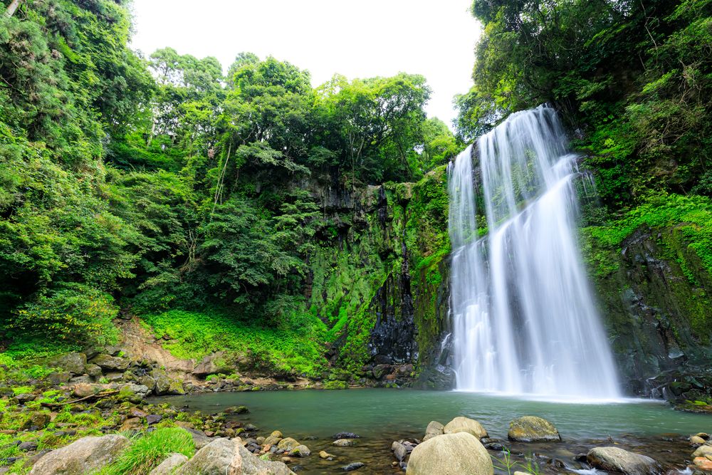 桜滝】の周辺スポット・アクセス・口コミ - Prism Japan