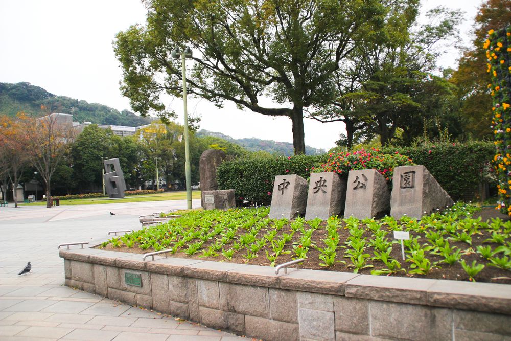 中央公園の画像 - 4枚目