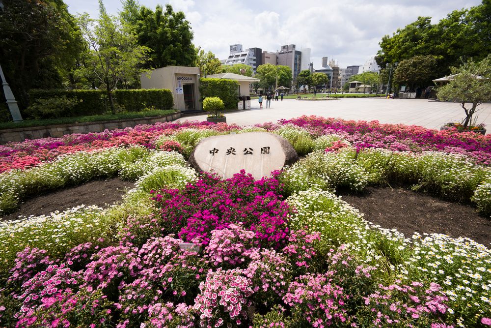 中央公園の画像 - 5枚目