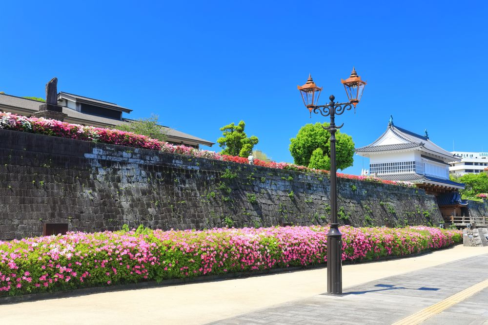 鶴丸城跡(鹿児島城)の画像 - 4枚目