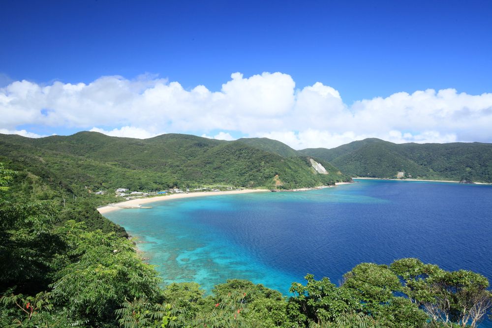 加計呂麻島の画像 - 4枚目