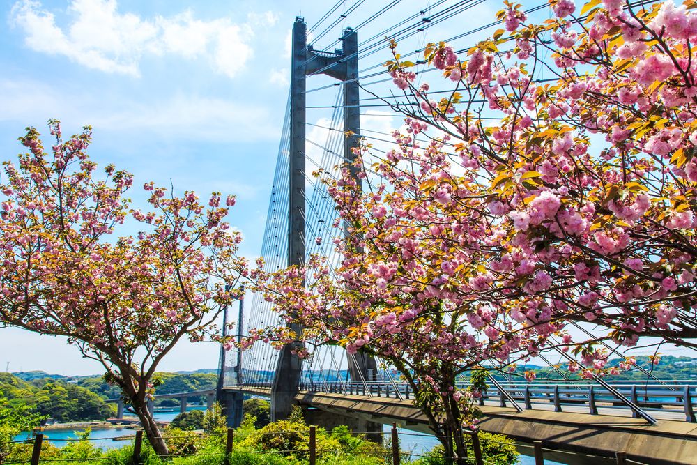 呼子大橋】の周辺スポット・アクセス・口コミ - Prism Japan