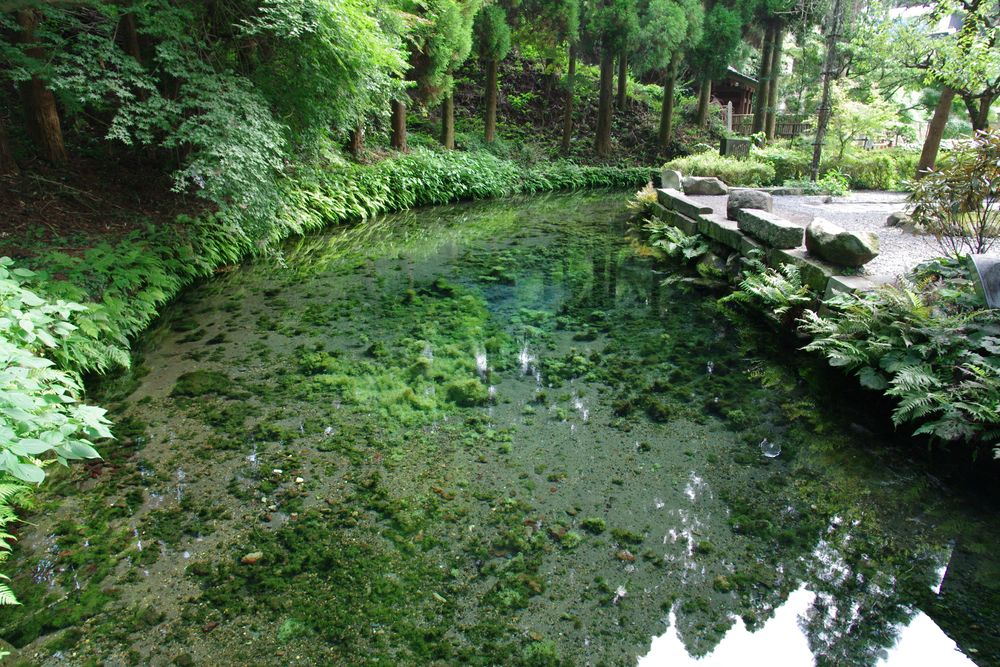 白川水源の画像 - 3枚目