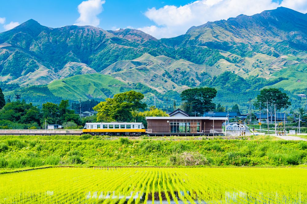 白川水源の画像 - 4枚目