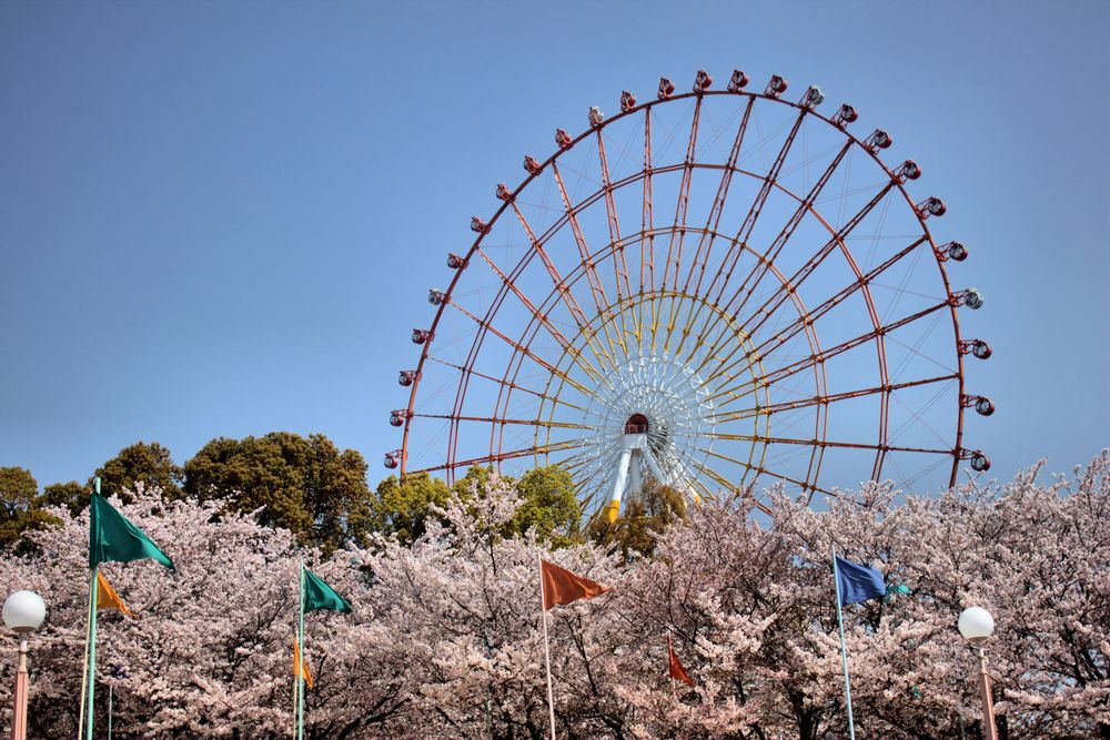 グリーンランドの画像 - 2枚目