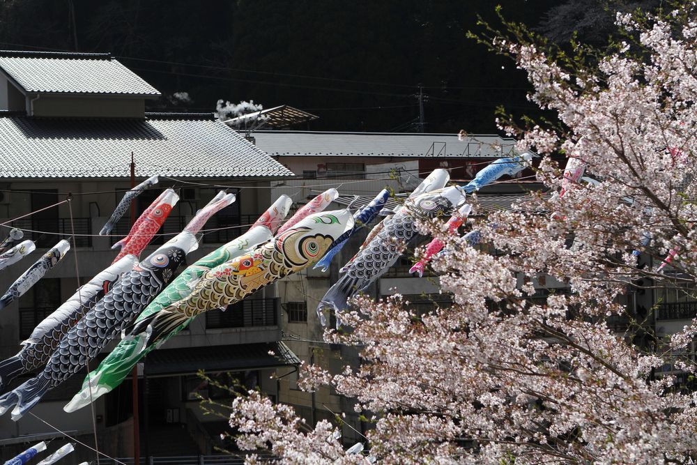杖立温泉の画像 - 2枚目
