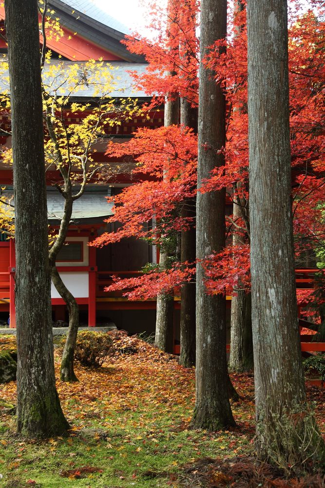 比叡山延暦寺の画像 - 2枚目