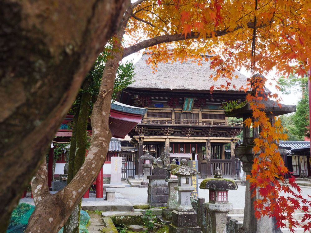 青井阿蘇神社の画像 - 5枚目