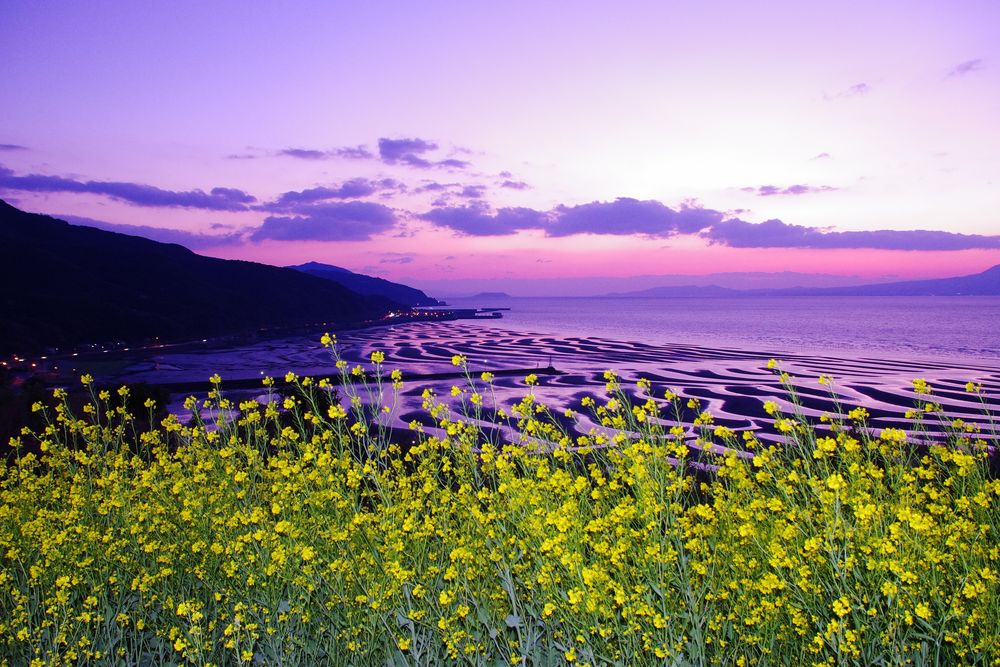 御輿来海岸 展望所の画像 - 3枚目
