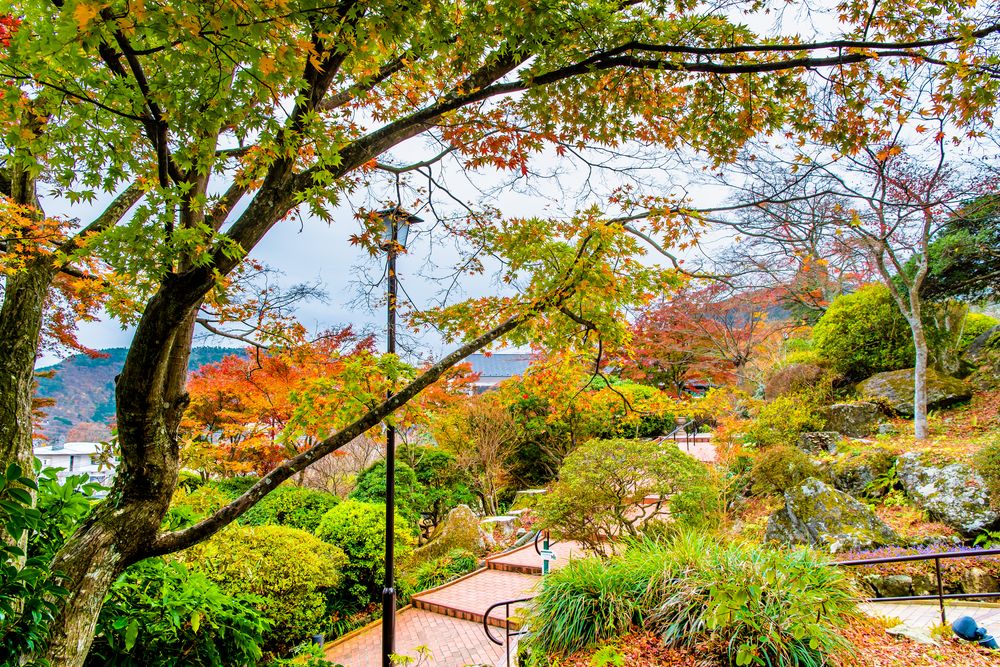 箱根強羅公園の画像 - 3枚目