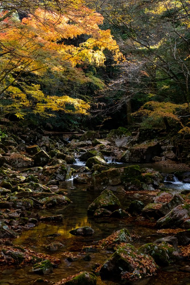 赤目四十八滝の画像 - 3枚目