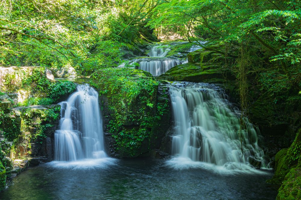 滝春 赤白 adidas zx 800 | eBay