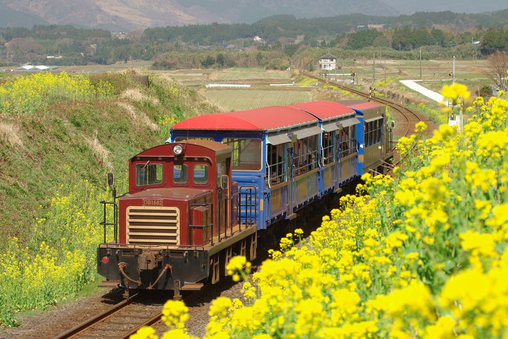 南阿蘇鉄道トロッコ列車「ゆうすげ号」の画像 - 2枚目