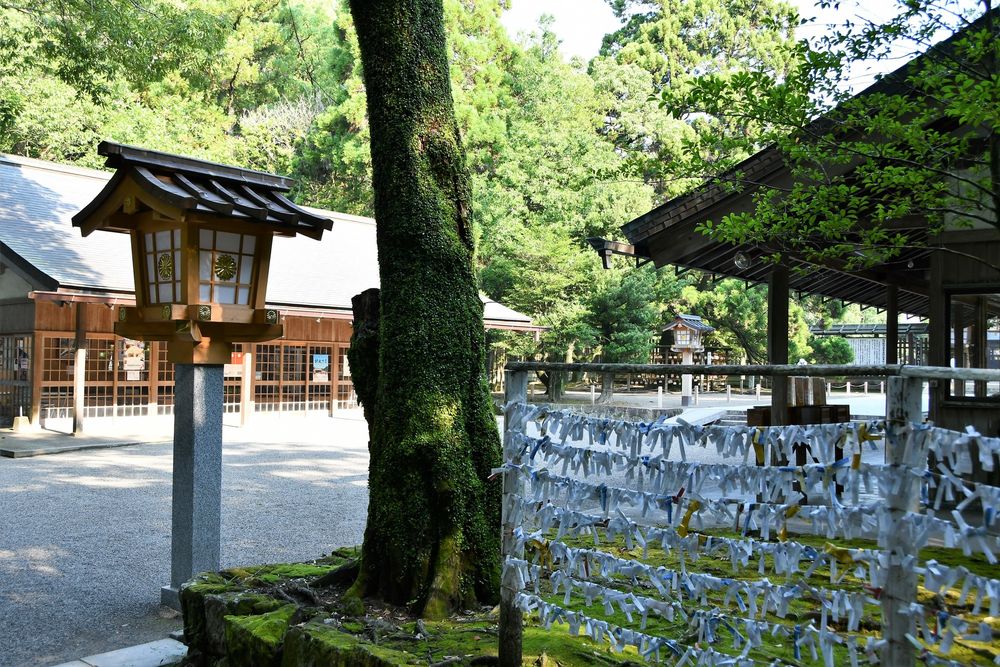 宮崎神宮の画像 - 4枚目