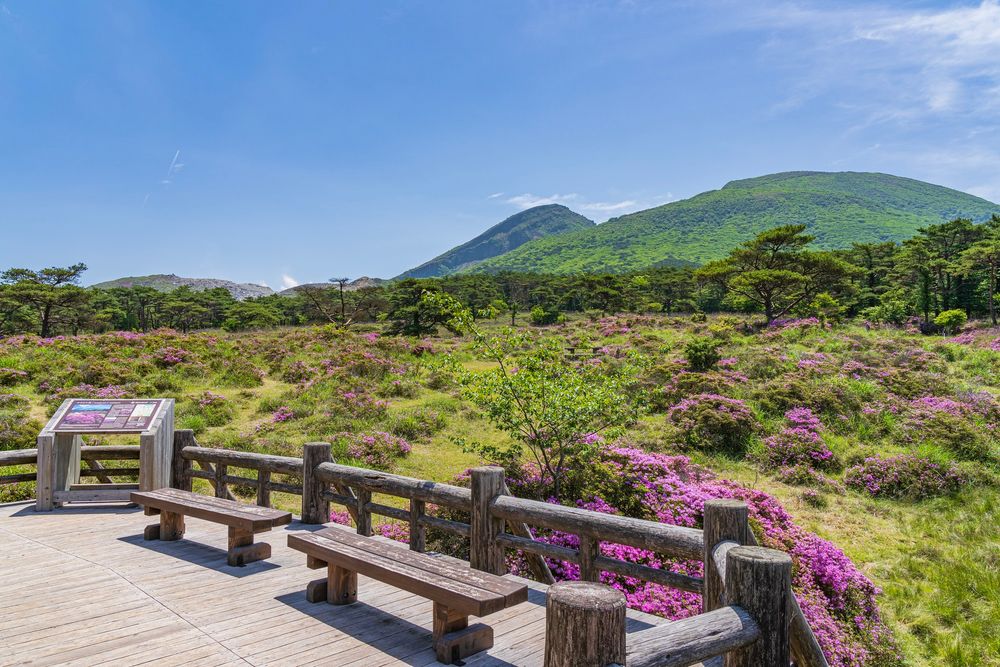 えびの高原の画像 - 4枚目