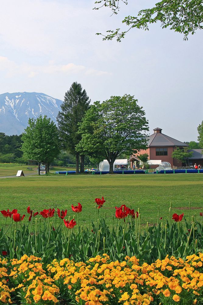小岩井ページ 小岩井ファームキッチン｜まきば園の楽しみ方｜小岩井農場