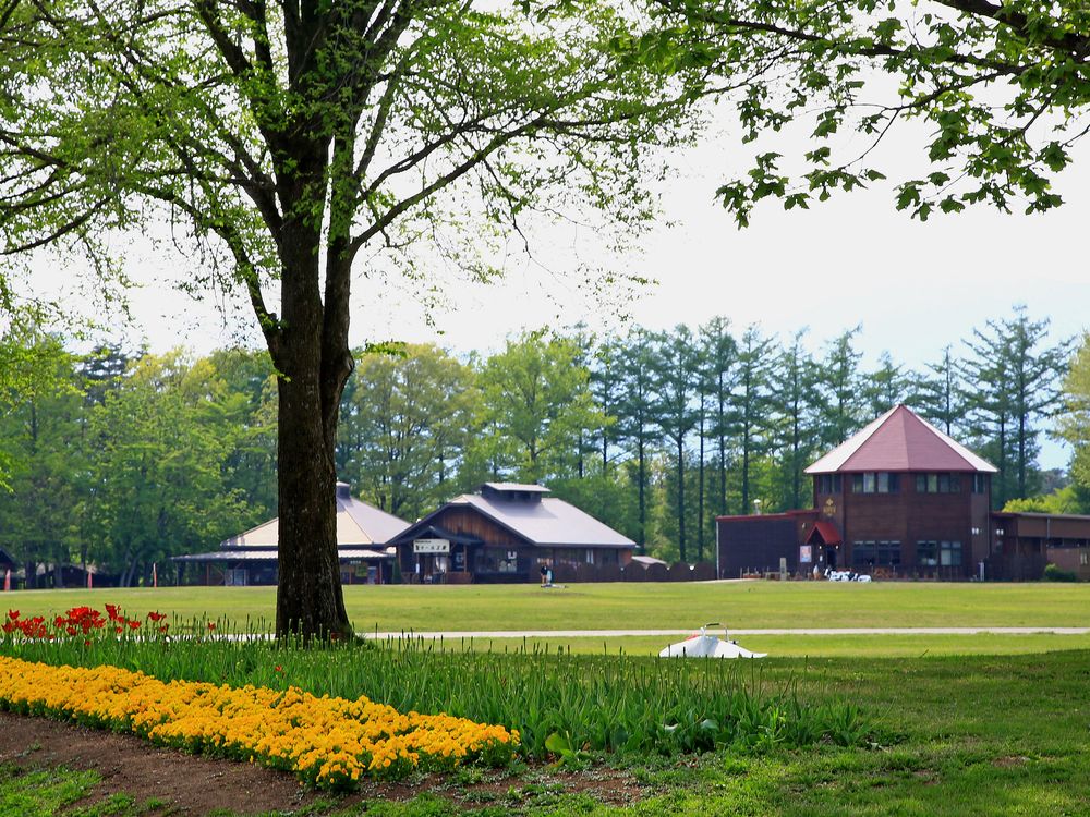 小岩井ページ 小岩井農場】の周辺スポット・アクセス・口コミ - Prism Japan