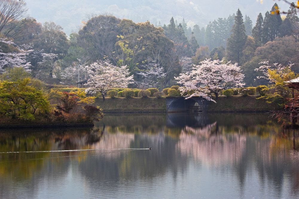 観音池公園の画像 - 2枚目